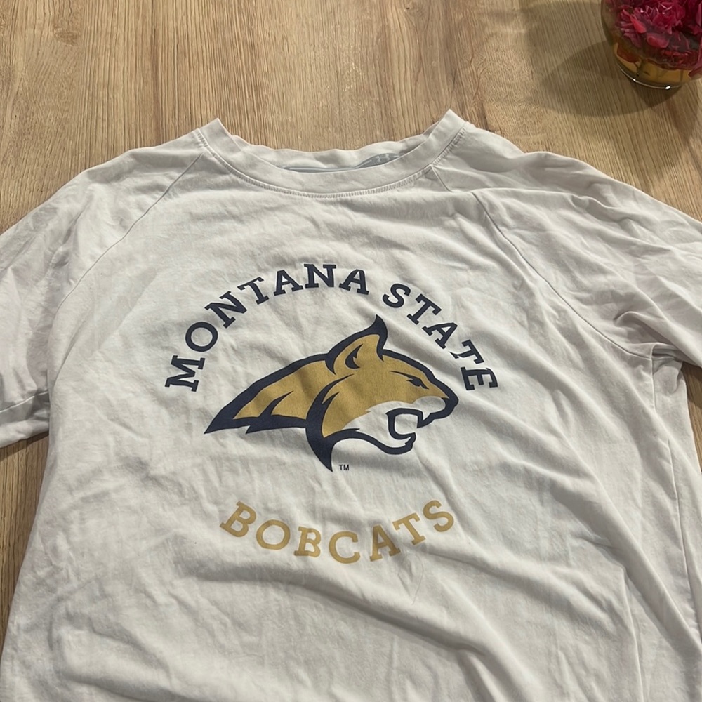 UA Montana State Tshirt